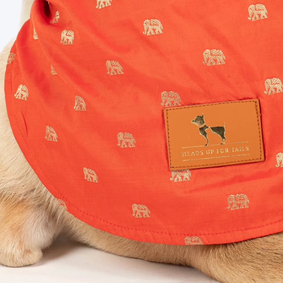 HUFT Royal Elephant Brocade Kurta For Dog & Cat - Orange