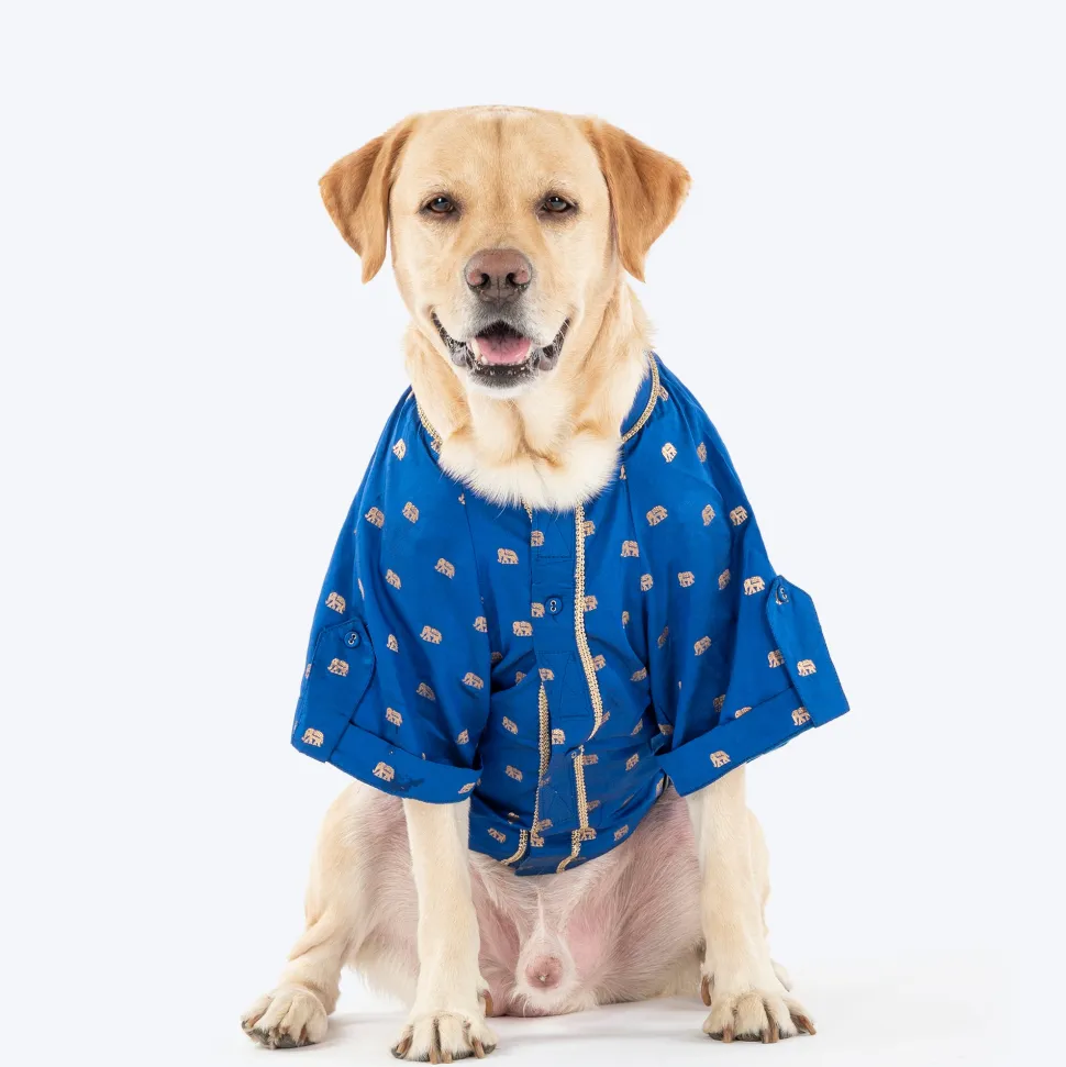 HUFT Royal Elephant Brocade Kurta For Dog & Cat - Navy Blue