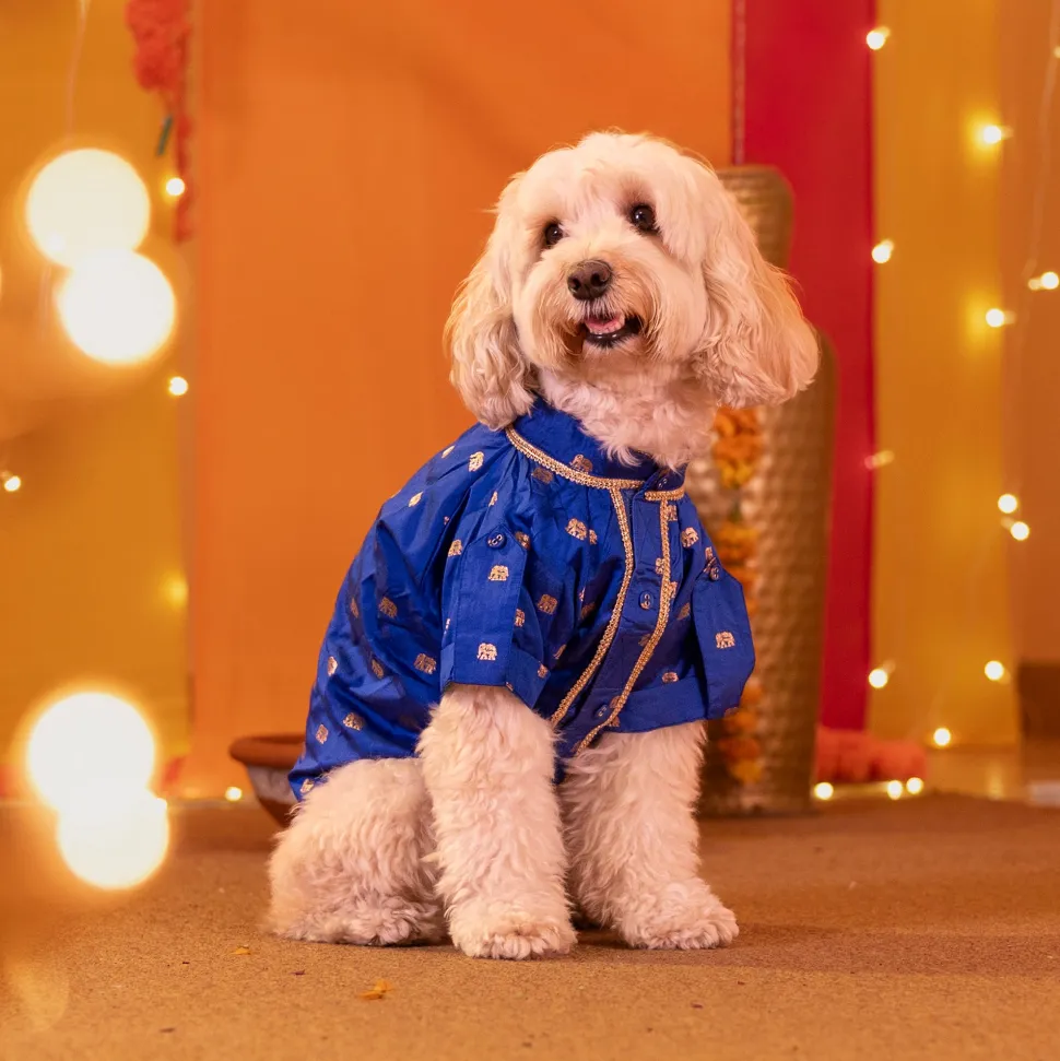HUFT Royal Elephant Brocade Kurta For Dog & Cat - Navy Blue