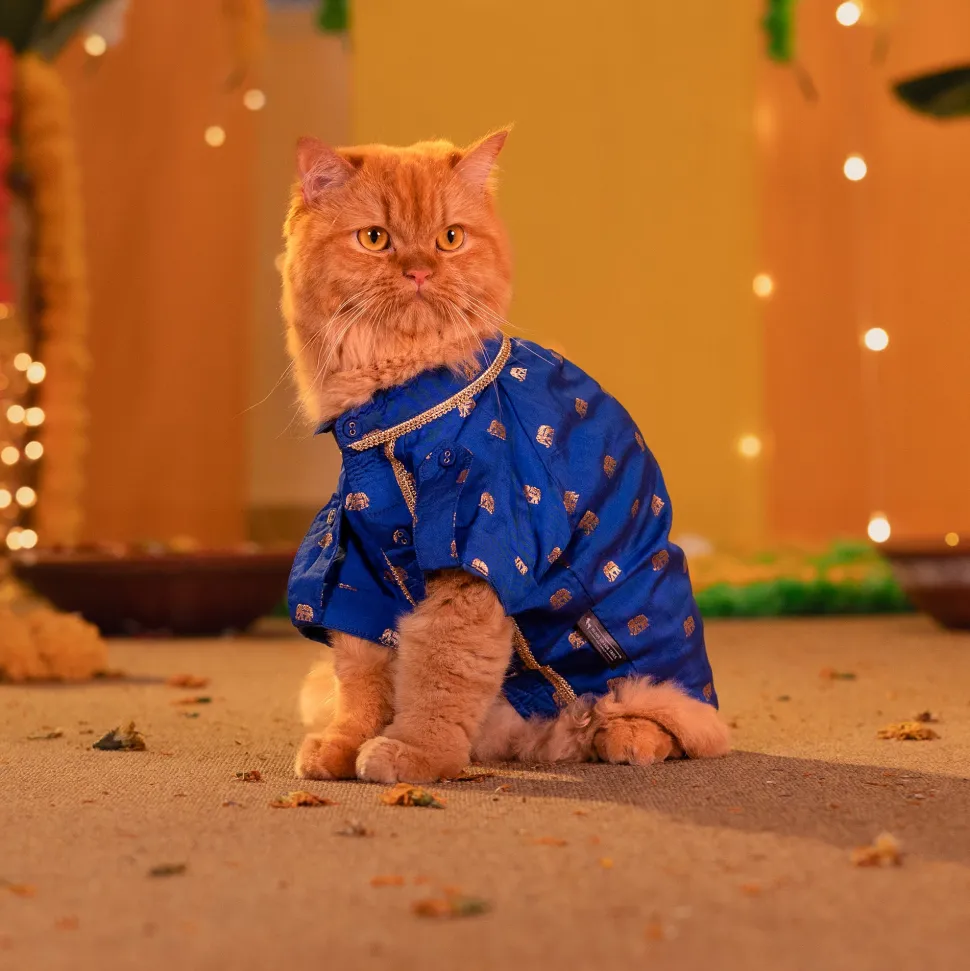 HUFT Royal Elephant Brocade Kurta For Dog & Cat - Navy Blue