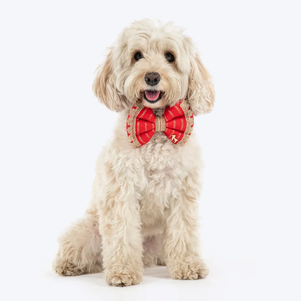 HUFT Royal Rang Bow Tie For Dog - Red
