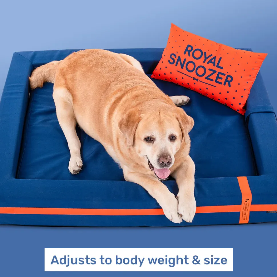 HUFT Royal Snooze Bed for Dog - Navy