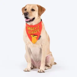 HUFT Sassy & Classy Bandana For Dog - Orange