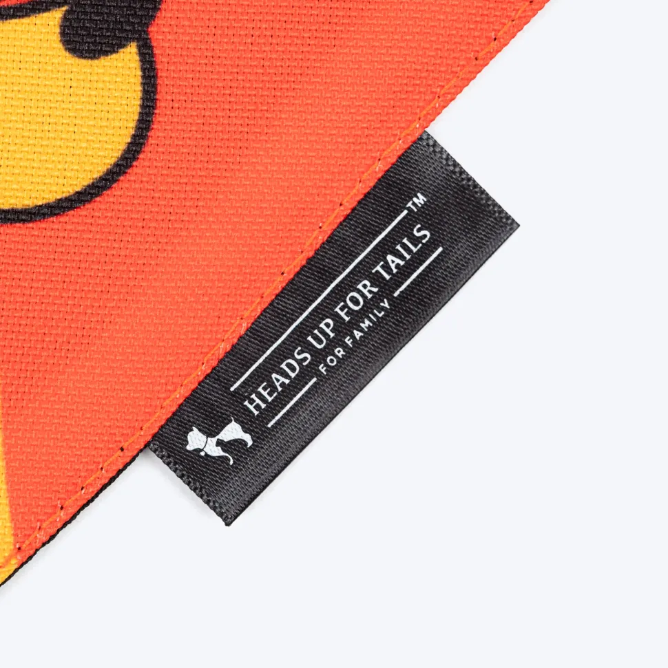 HUFT Sassy & Classy Bandana For Dog - Orange
