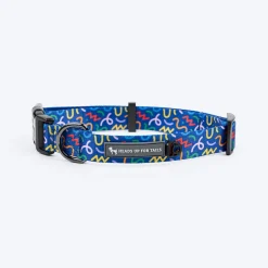 HUFT Scribble Dribble Collar For Dog - Blue