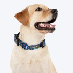 HUFT Scribble Dribble Collar For Dog - Blue