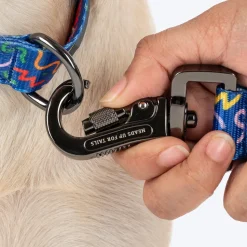 HUFT Scribble Dribble Leash For Dog – Blue