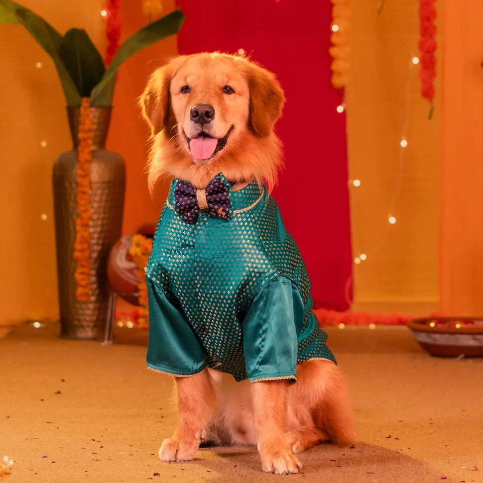 HUFT Shahi Paws Kurta For Dog & Cat - Green