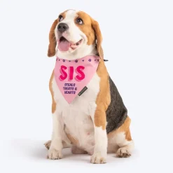 HUFT Sis - Steals Treats & Hearts Dog Bandana