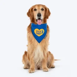 HUFT Socks Thief Bandana For Dog - Blue
