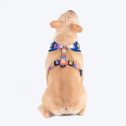 HUFT Spectrum Stripes Adjustable Harness For Dog - Multicolor