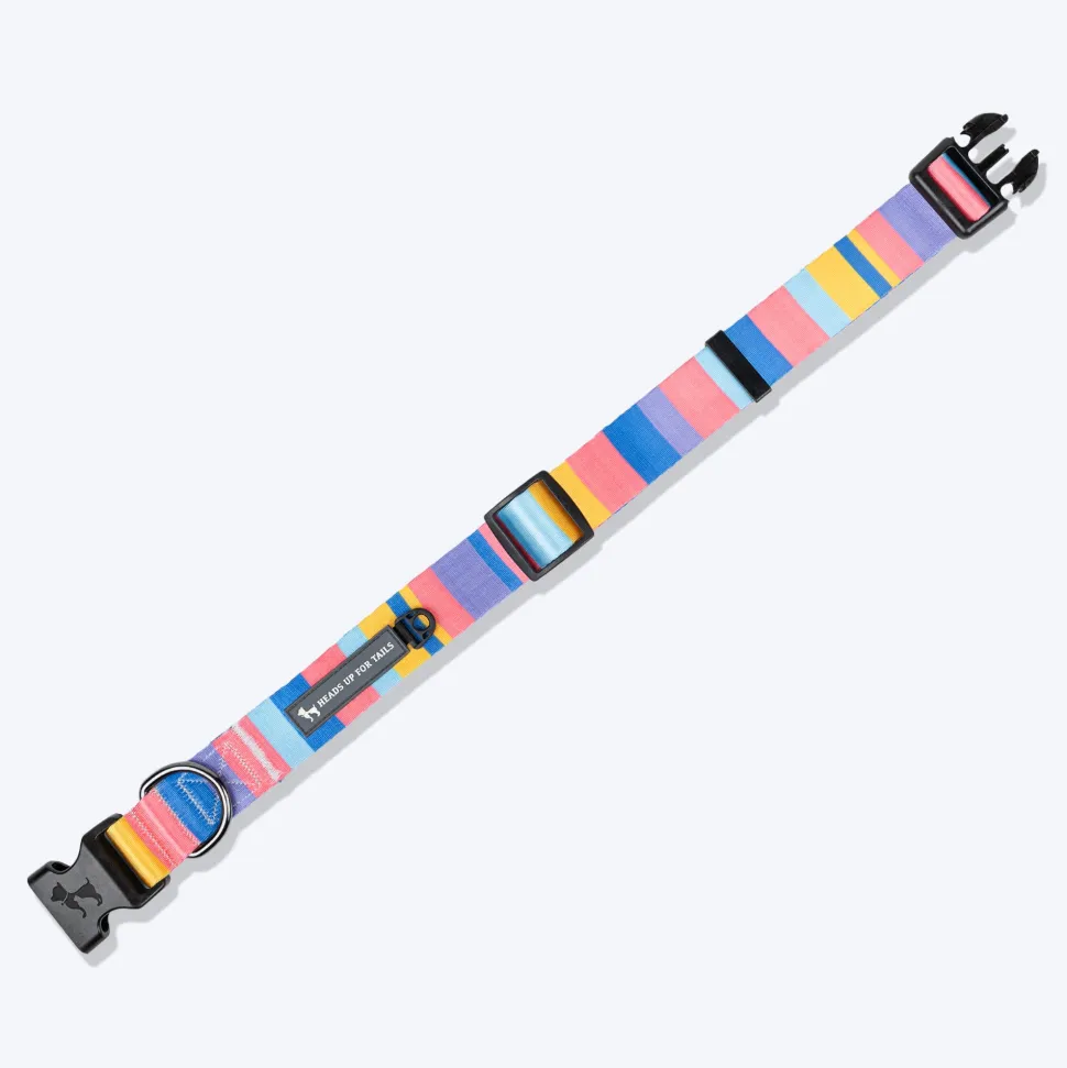 HUFT Spectrum Stripes Collar For Dog - Multicolor