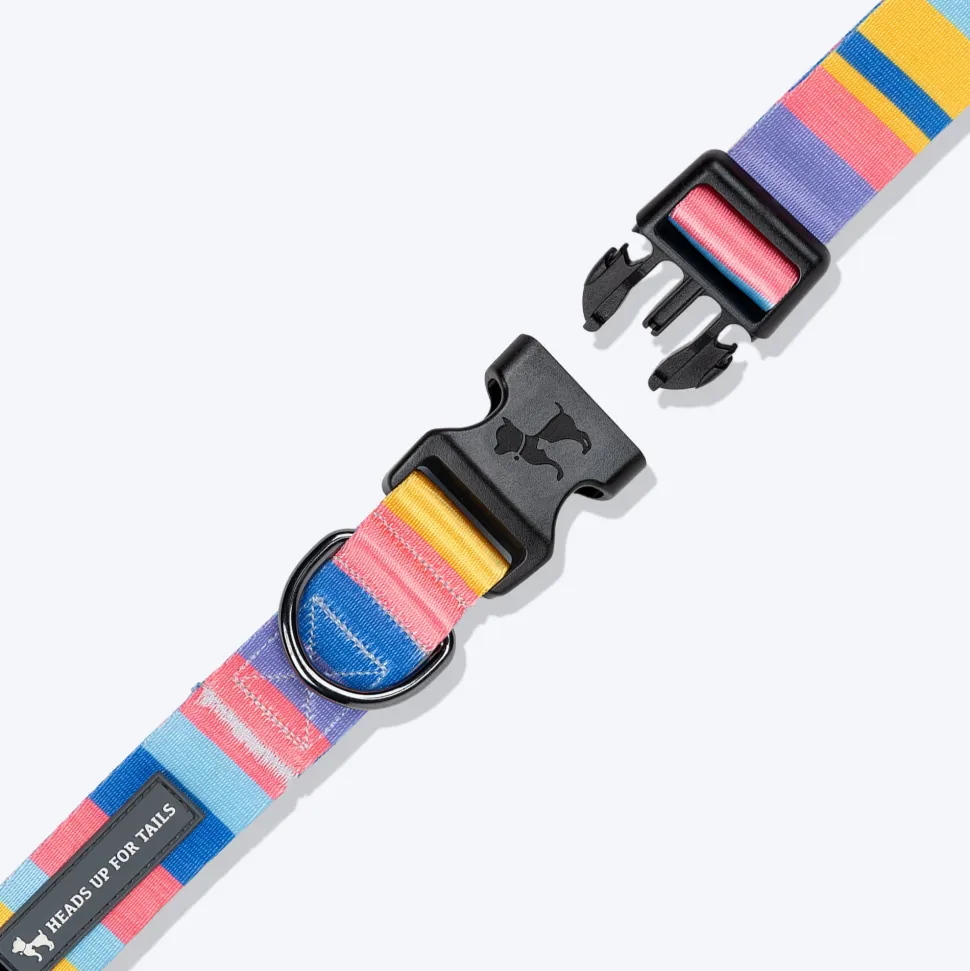 HUFT Spectrum Stripes Collar For Dog - Multicolor