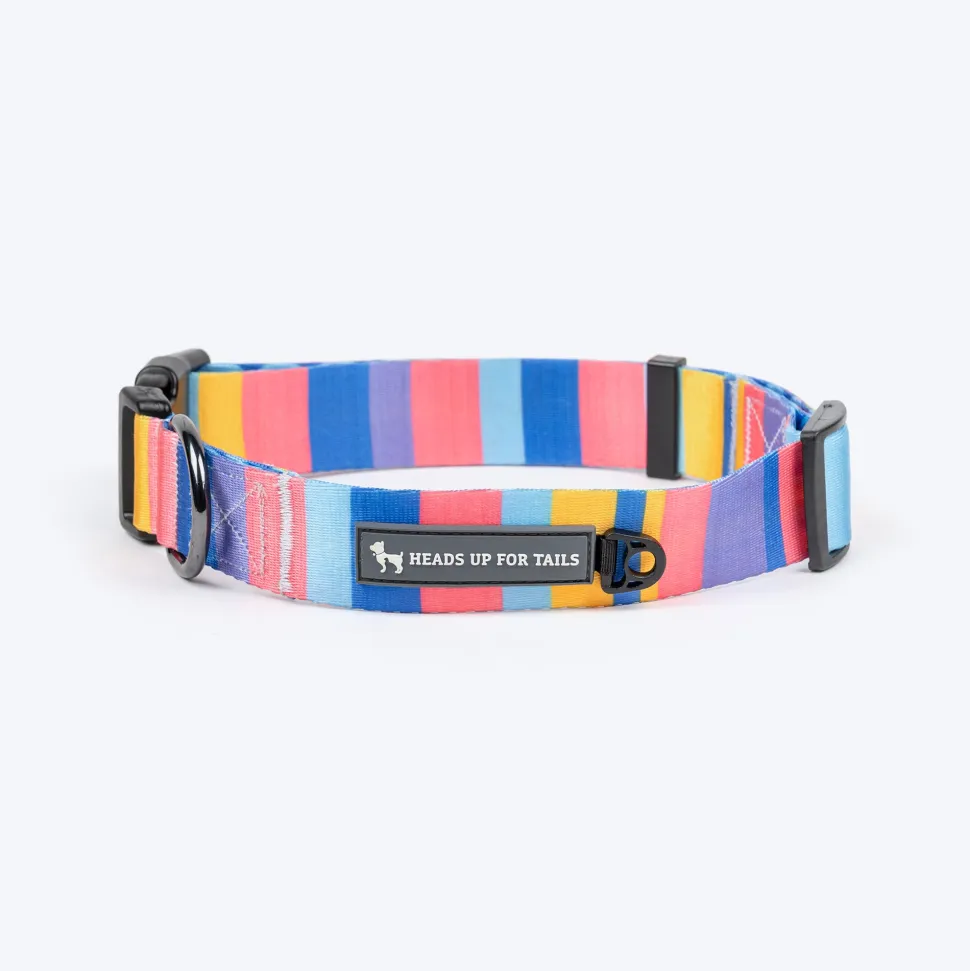 HUFT Spectrum Stripes Collar For Dog - Multicolor
