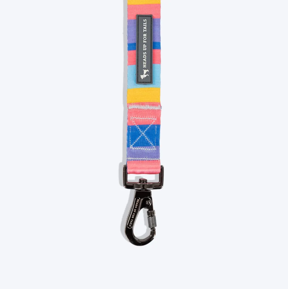HUFT Spectrum Stripes Leash For Dog - Multicolor