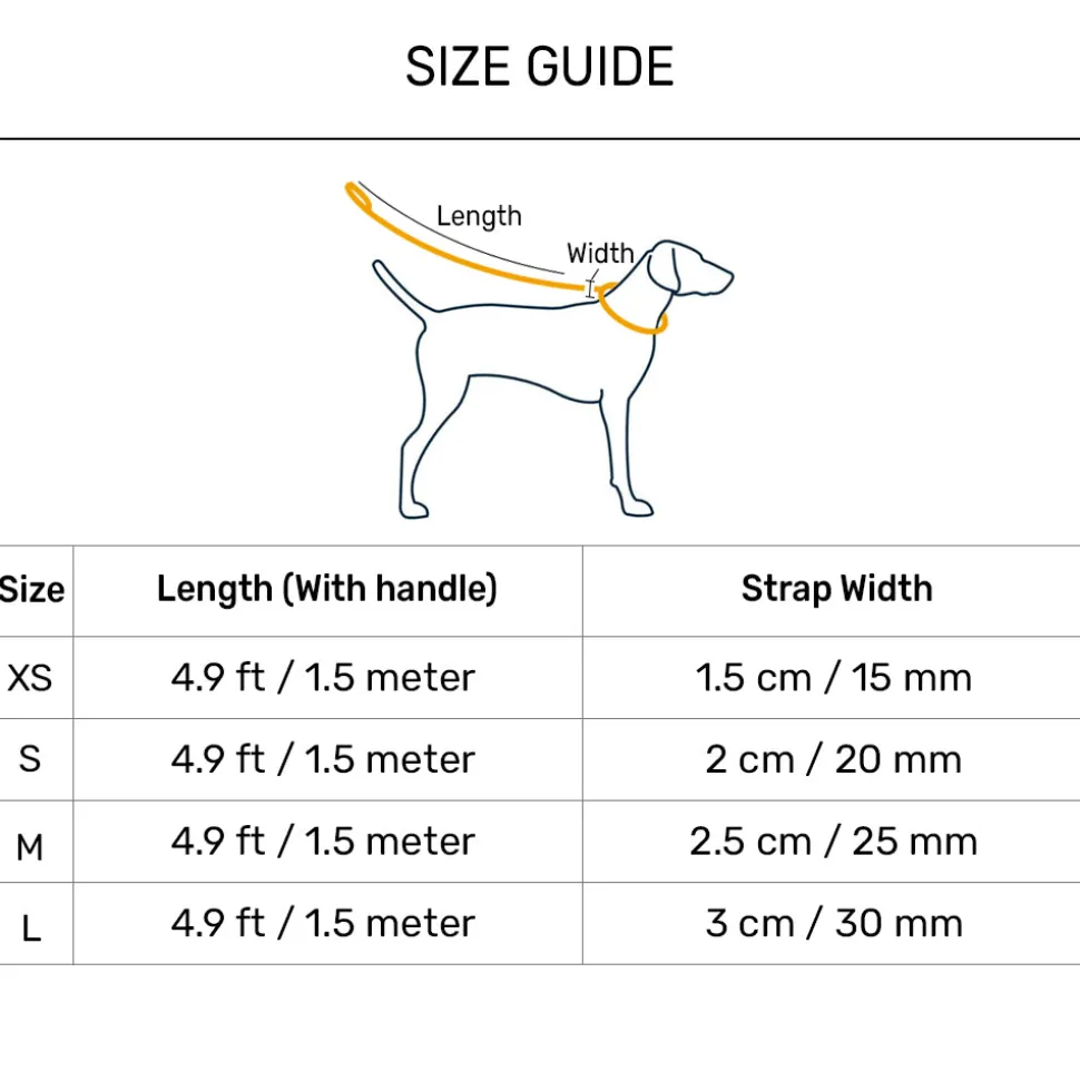 HUFT Spectrum Stripes Leash For Dog - Multicolor