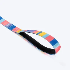 HUFT Spectrum Stripes Leash For Dog - Multicolor