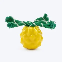 HUFT Squeakie Fruitie Chew Toy For Dog - Yellow