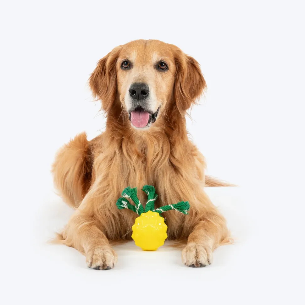 HUFT Squeakie Fruitie Chew Toy For Dog - Yellow