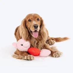 HUFT Squeaky Piggy Plush Toy For Dog - Pink