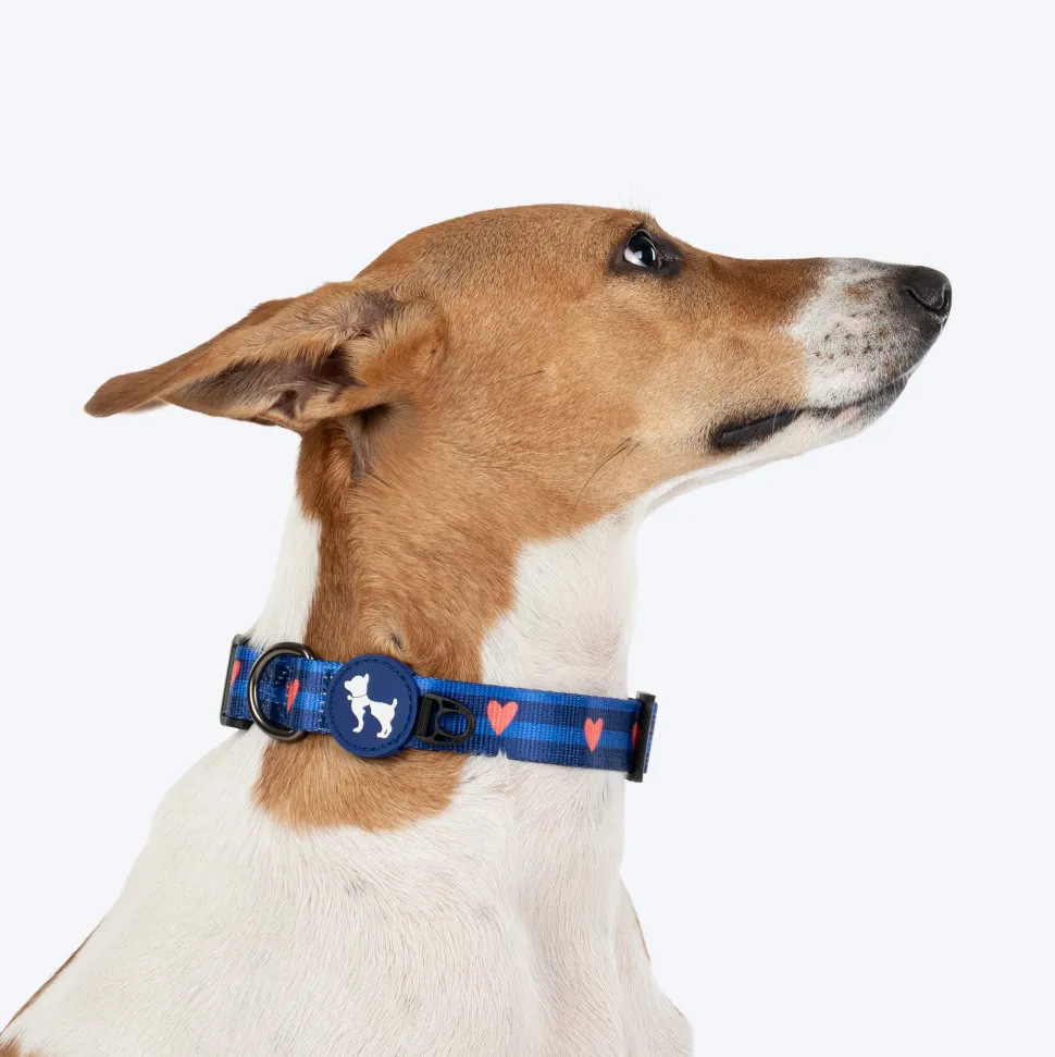 HUFT Striped Love Collar For Dog - Navy