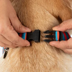 HUFT Summer Bloom Bow Tie With Collar For Dog - Blue