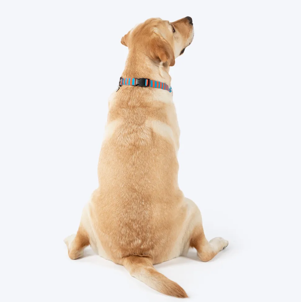 HUFT Summer Bloom Bow Tie With Collar For Dog - Blue