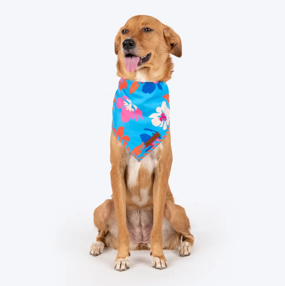 HUFT Summer Bloom Knot Bandana For Dog - Blue