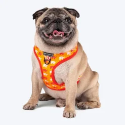 HUFT Summer Legacy Printed Dog Harness