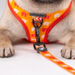 HUFT Summer Legacy Printed Dog Harness