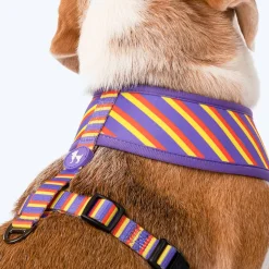 HUFT Sunny Stride Dog Reversible Harness
