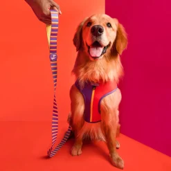 HUFT Sunny Stride Dog Reversible Harness
