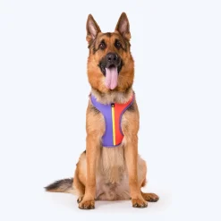 HUFT Sunny Stride Dog Reversible Harness