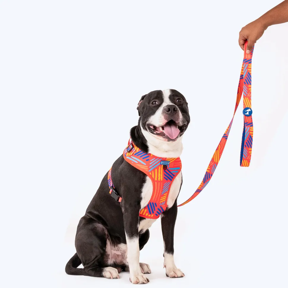 HUFT Sunset Samba Printed Dog Leash