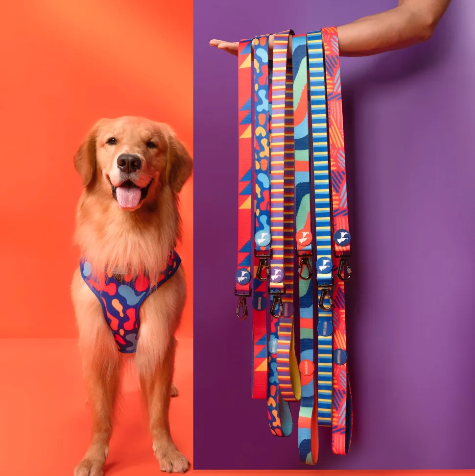 HUFT Sunset Samba Printed Dog Leash