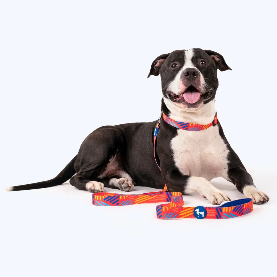 HUFT Sunset Samba Printed Dog Leash
