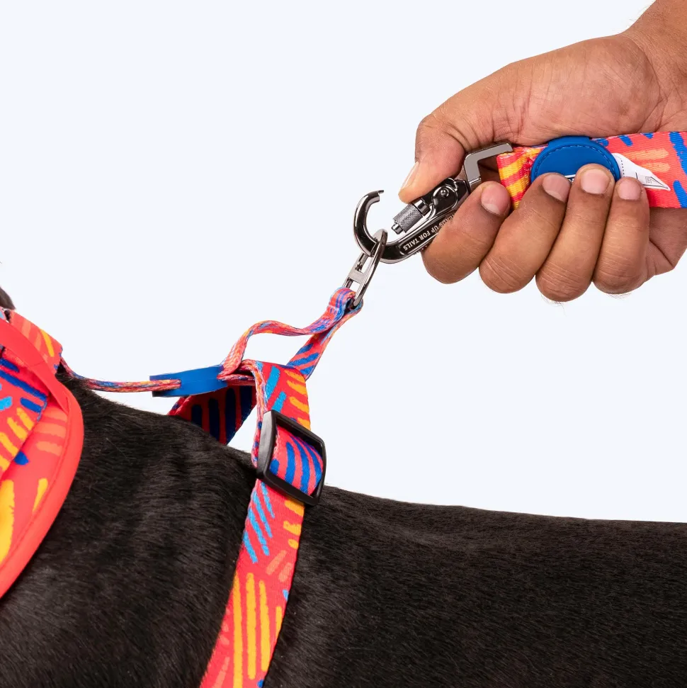 HUFT Sunset Samba Printed Dog Leash