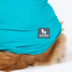 HUFT Sunshine On My Mind T-Shirt For Dogs - Light Blue