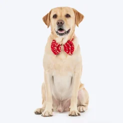 HUFT Super Sitara Bow Tie With Strap For Dog - Red