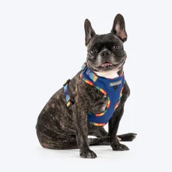 HUFT Technicolor Tartan Adjustable Harness For Dog - Multicolor