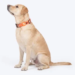 HUFT Teddy Collar For Dog - Red