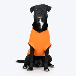 HUFT The Family Favourite T-shirts For Dog - Orange