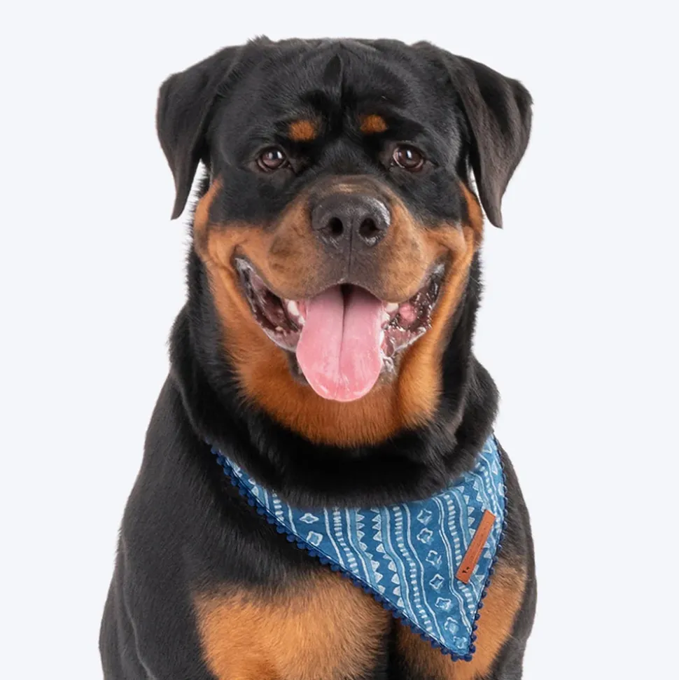 HUFT The Indian Collective Pankti Dog Bandana - Indigo
