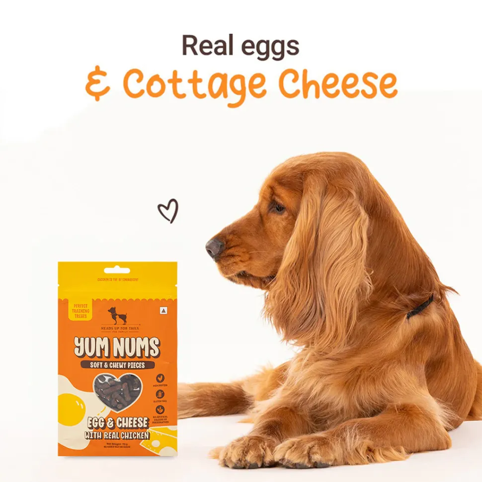 HUFT Training Duo Soft Treats Combo For Dogs