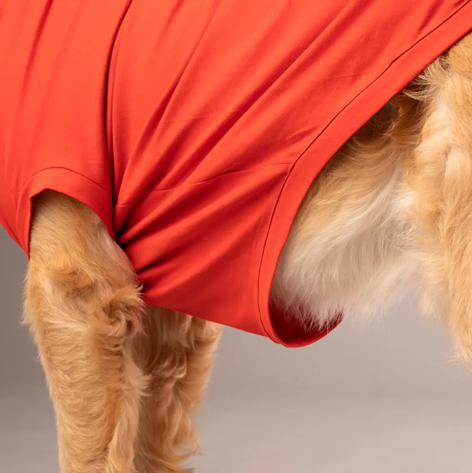 HUFT Treats And Chill T-Shirt For Dog - Deep Coral