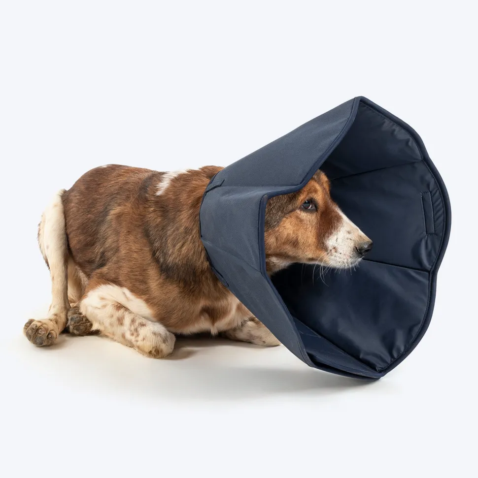 HUFT Trooper E-Collar For Dog - Navy Blue