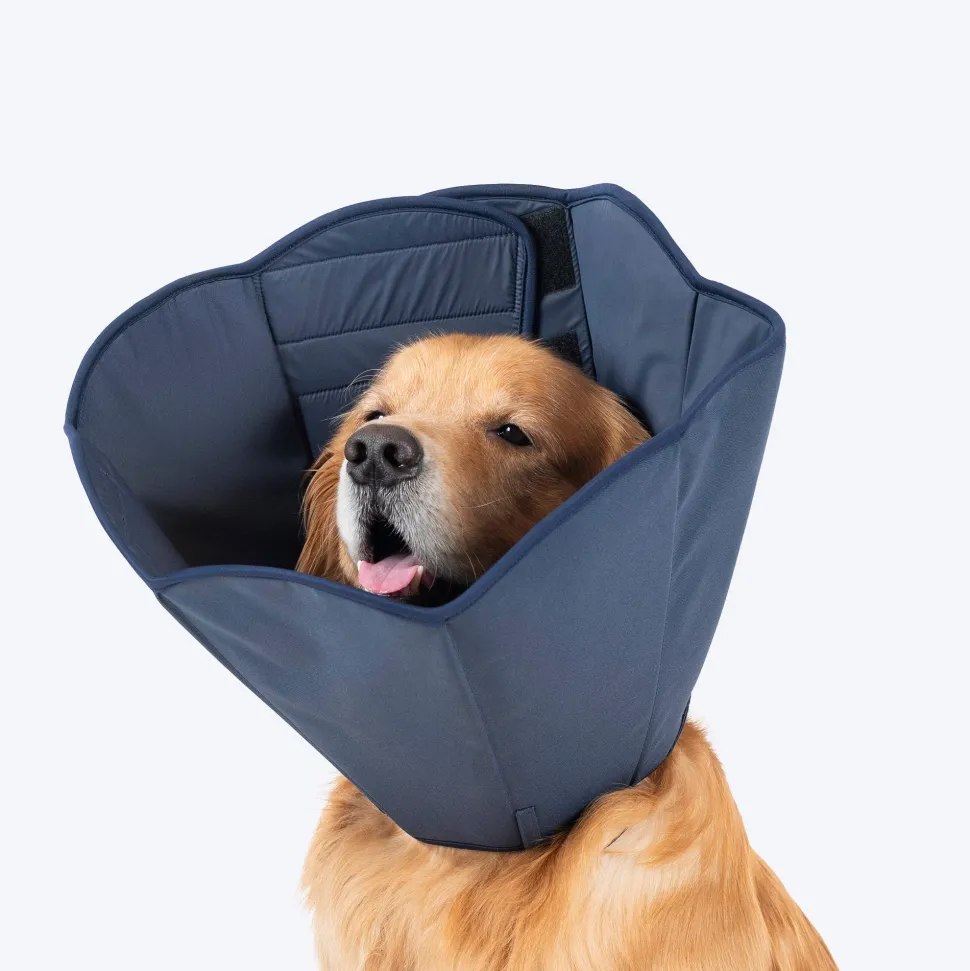 HUFT Trooper E-Collar For Dog - Navy Blue