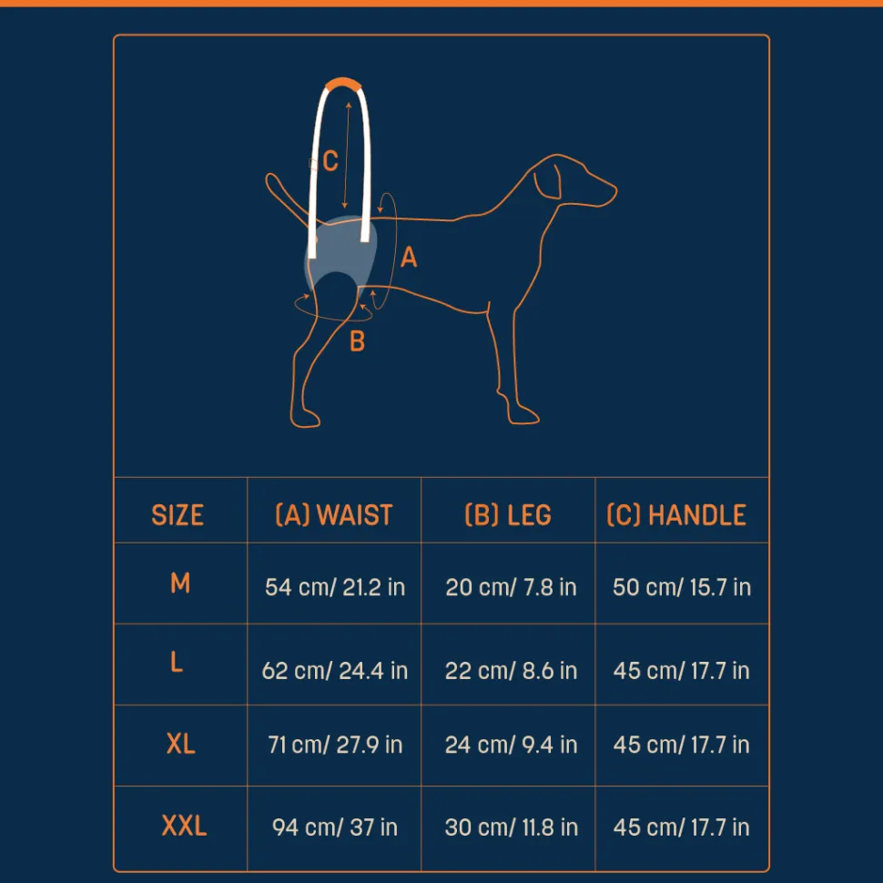 HUFT Trooper Hind Leg Support Lift Harness For Dogs - Navy Blue - Set Of 2