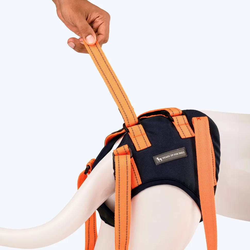 HUFT Trooper Hind Leg Support Lift Harness For Dogs - Navy Blue - Set Of 2