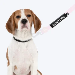 HUFT Trooper Walking Aid Leash & Collar Insert (Blind Dog)